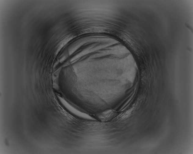 X0000096941081200802291027