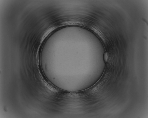 X0000096941082200802291027