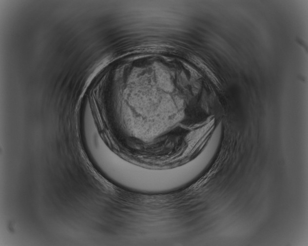 X0000096941083200802291027