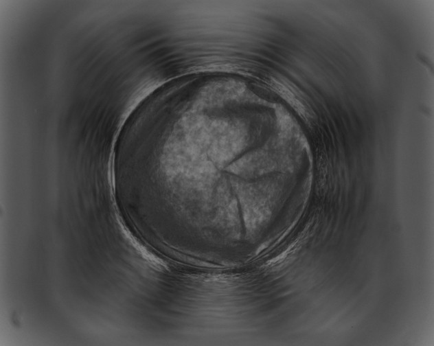 X0000096941084200802291027