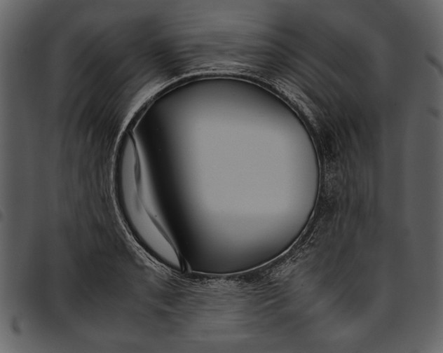 X0000096941085200802291027