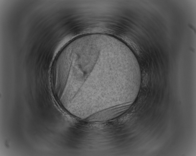 X0000096941086200802291027