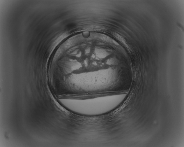 X0000096941087200802291027