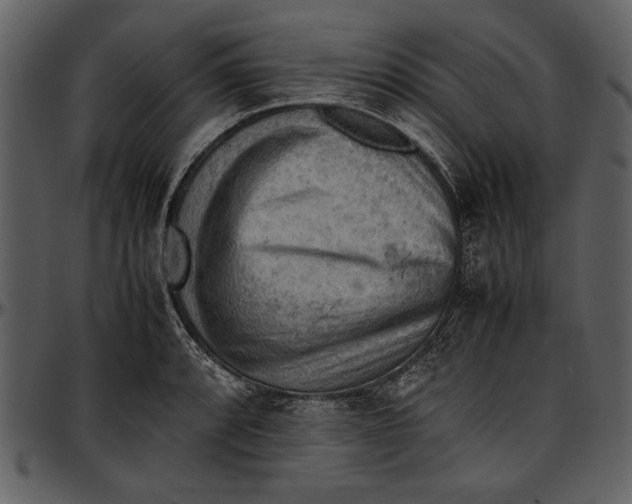 X0000096941088200802291027