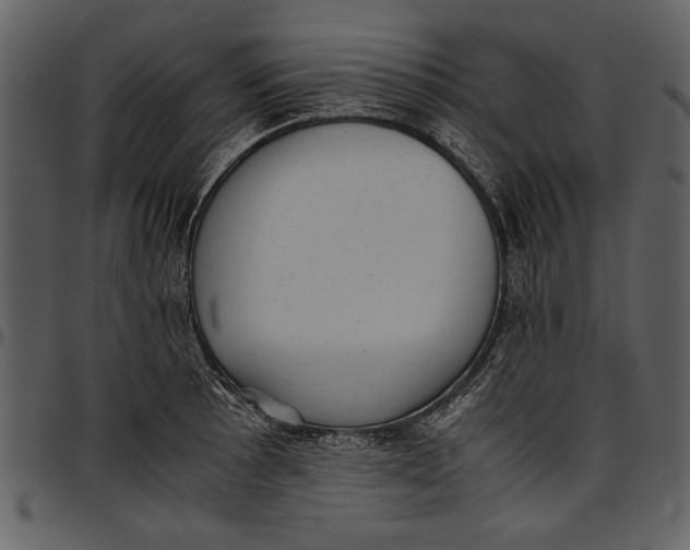 X0000096941089200802291027