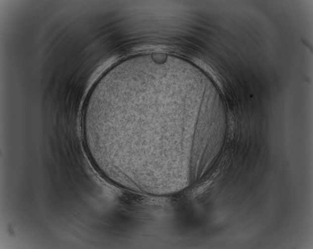 X0000096941090200802291027