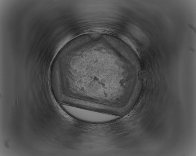 X0000096941091200802291027