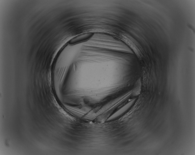 X0000096941092200802291027