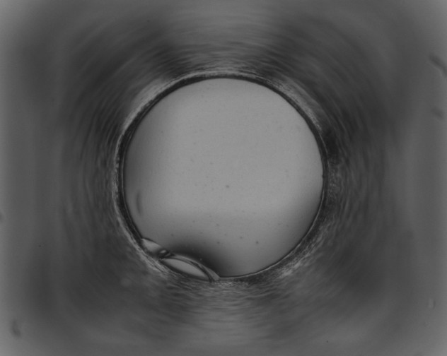 X0000096941093200802291027