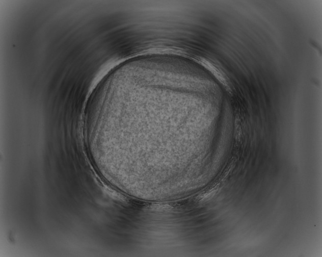 X0000096941094200802291027