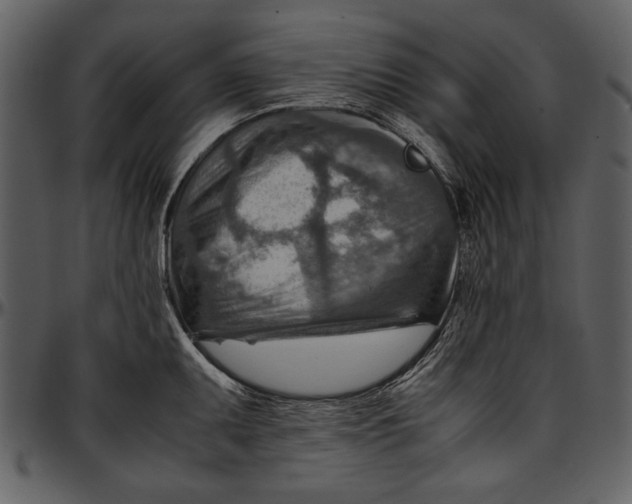 X0000096941095200802291027