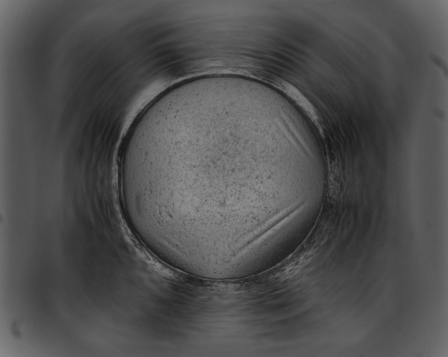 X0000096941096200802291027