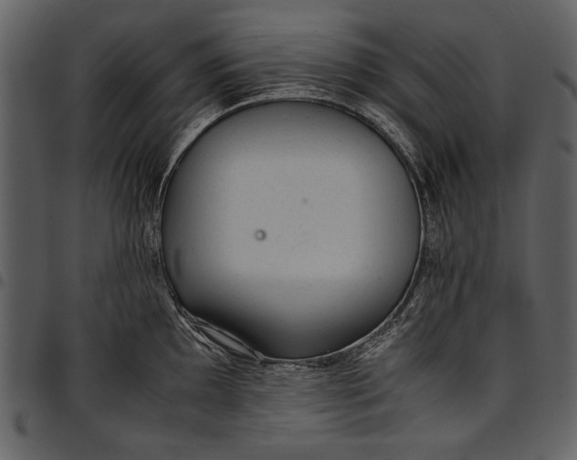 X0000096941097200802291027