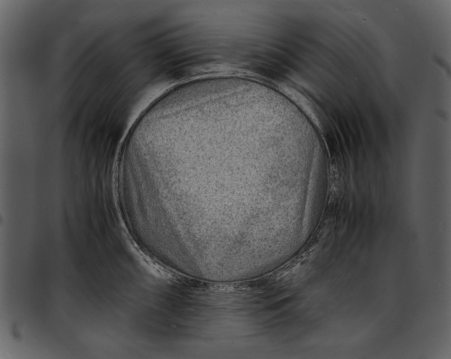 X0000096941098200802291027