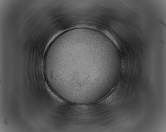 X0000096941100200802291026