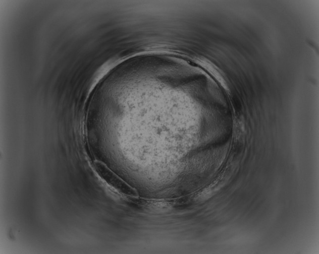 X0000096941101200802291026