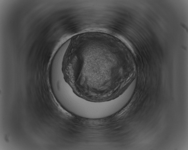 X0000096941102200802291026