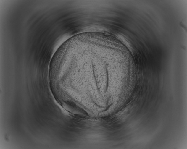 X0000096941103200802291026