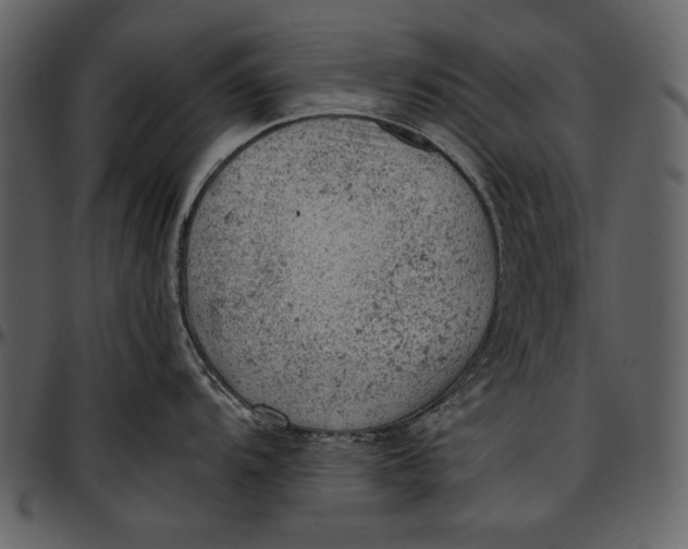 X0000096941104200802291026