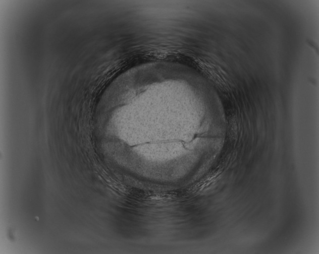 X0000096941105200802291026