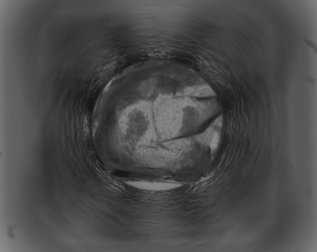 X0000096941106200802291026