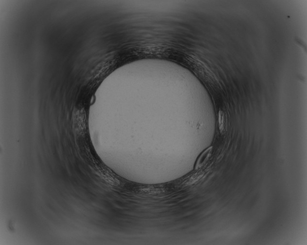 X0000096941107200802291026