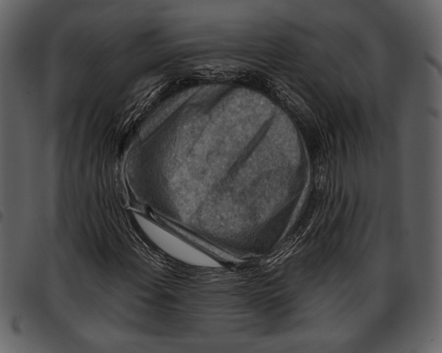 X0000096941108200802291026