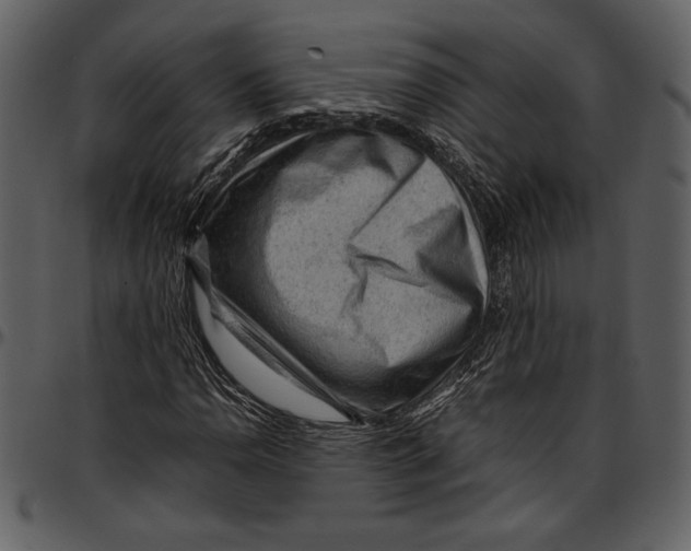 X0000096941110200802291026