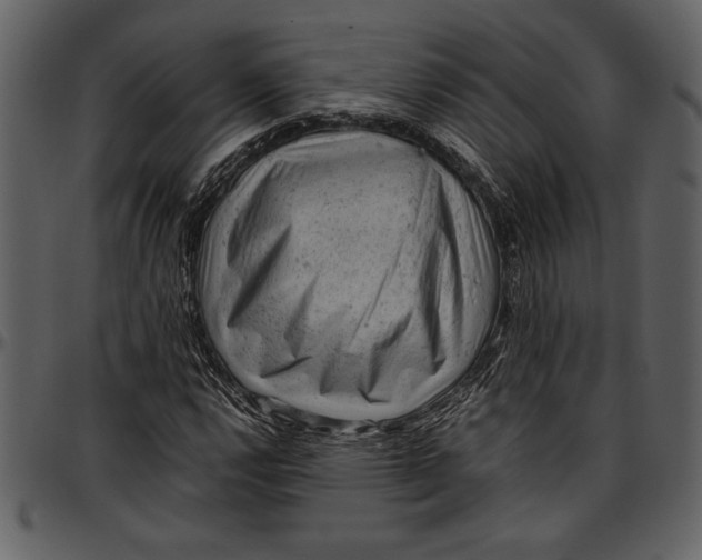 X0000096941112200802291026