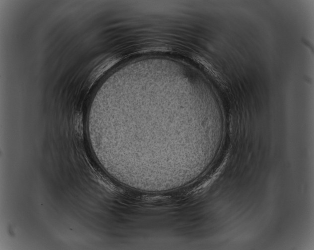 X0000096941113200802291026