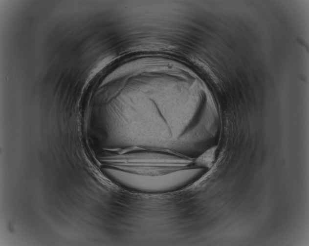 X0000096941114200802291026