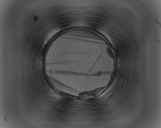 X0000096941115200802291026