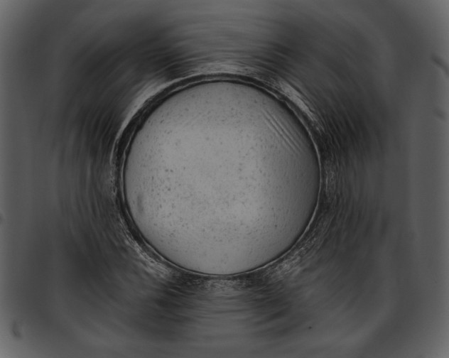 X0000096941116200802291026