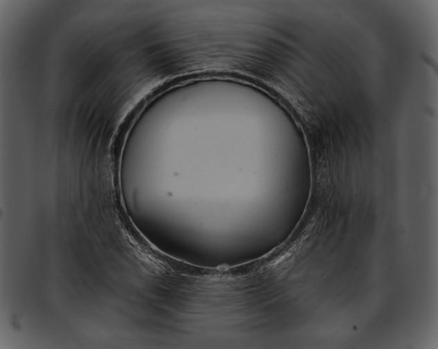 X0000096941118200802291026