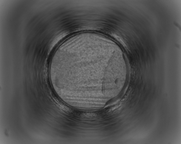 X0000096941119200802291026