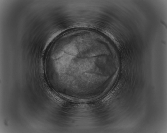 X0000096941120200802291026