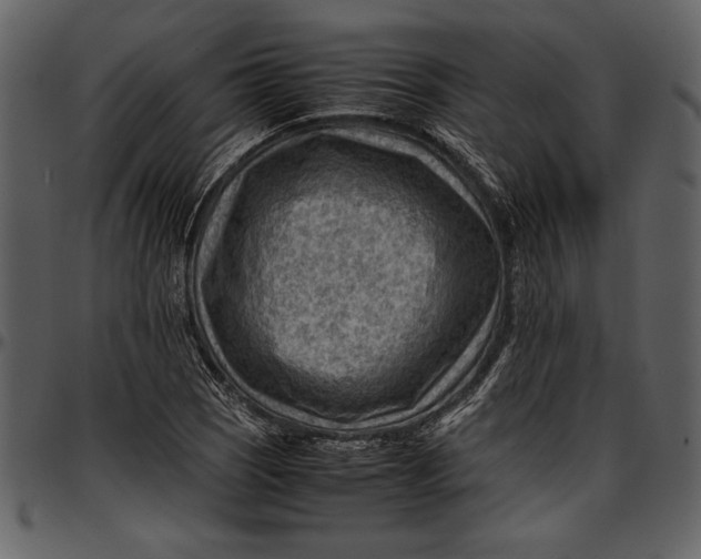 X0000096941121200802291026