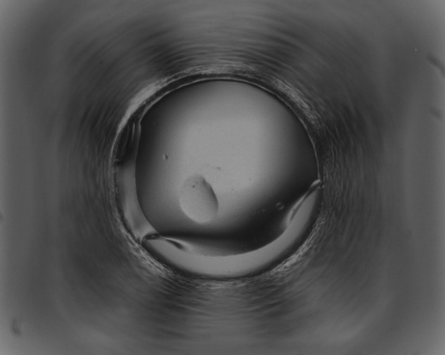 X0000096941122200802291026