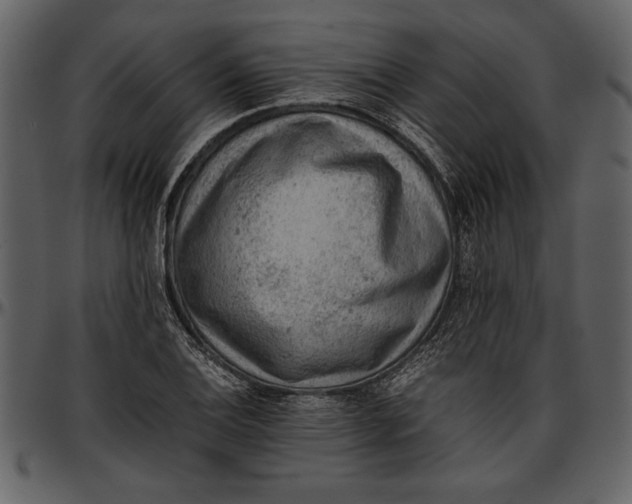 X0000096941124200802291026