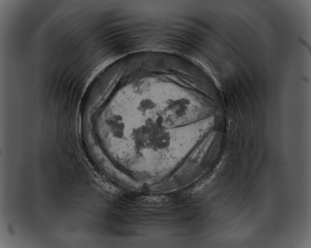 X0000096941125200802291026