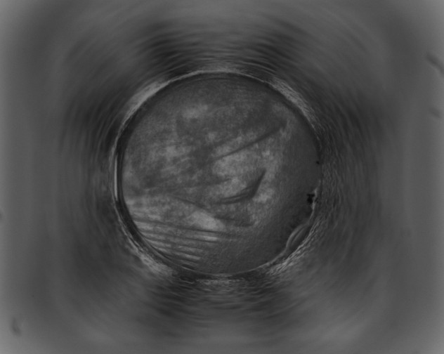 X0000096941127200802291026