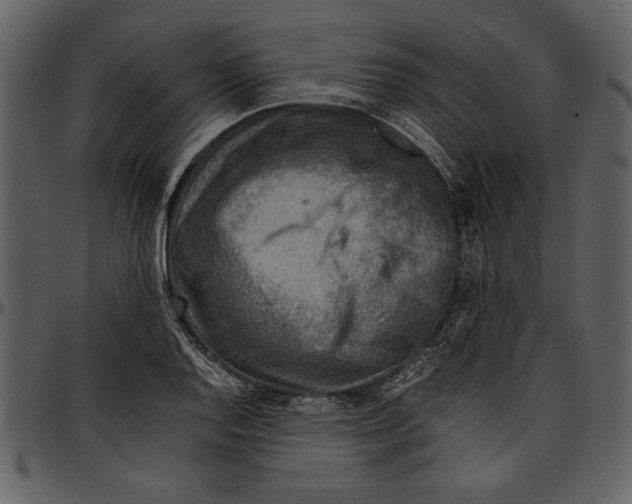 X0000096941128200802291026