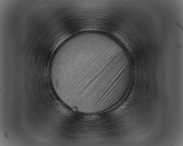 X0000096941129200802291026