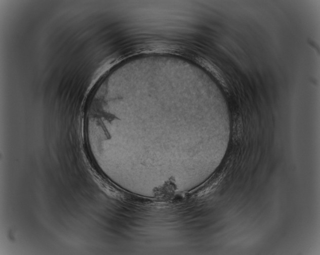 X0000096941130200802291026