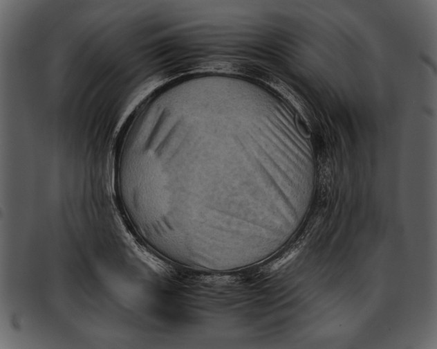 X0000096941131200802291026