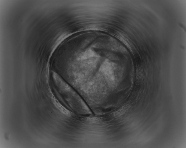 X0000096941132200802291026