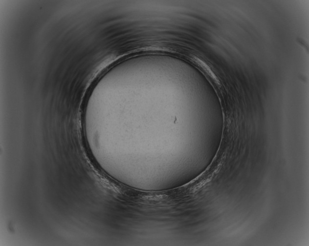 X0000096941133200802291026