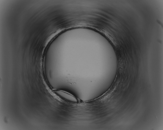 X0000096941134200802291026