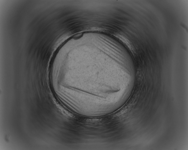 X0000096941135200802291026