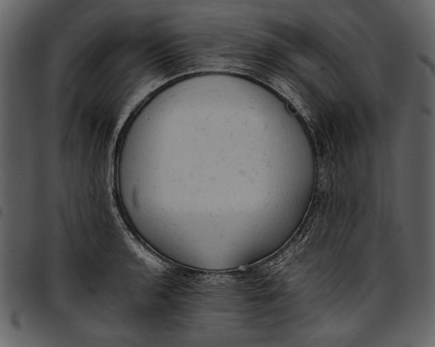 X0000096941136200802291026